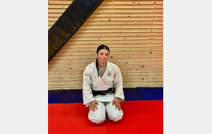 29/08/2026 stage de judo équipe de france (Vichy)
