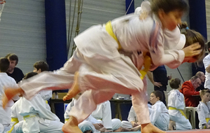 TOURNOI BENJAMINS-POUSSINS DE L'ESC COUR-CHEVERNY (annulé)