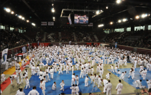 STAGE INTER-DEPARTEMENTAL BENJAMINS &amp; MINIMES (annulé)
