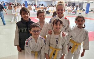 Tournoi du Blois Judo (Poussins-Benjamins)