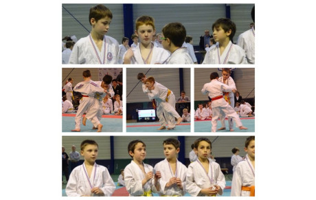 Judo - animation départementale