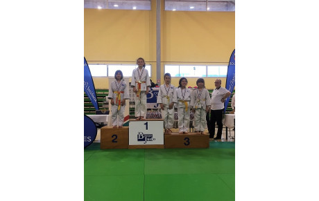 Tournoi de Bourges poussins/benjamins