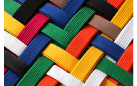 Ouverture d'un cours judo adultes &quot;loisirs&quot;