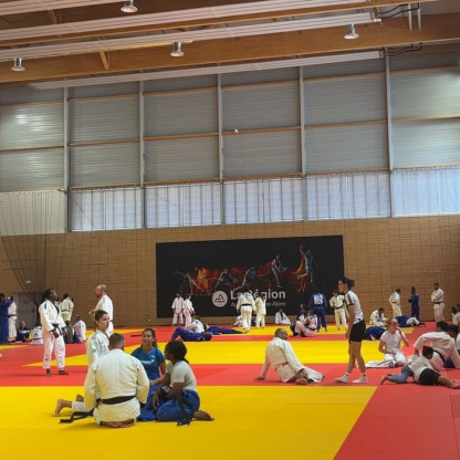 29/08/2026 stage de judo équipe de france (Vichy)
